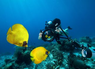 Sualtında Güvenli Fotoğraf Çekimleri için İpuçları sualti-fotografciligi-guvenlik