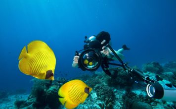 Sualtında Güvenli Fotoğraf Çekimleri için İpuçları sualti-fotografciligi-guvenlik