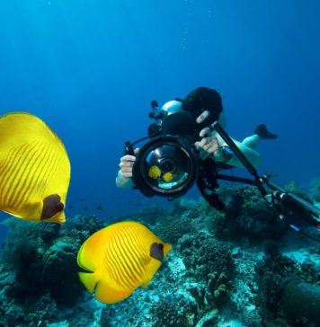 Sualtında Güvenli Fotoğraf Çekimleri için İpuçları sualti-fotografciligi-guvenlik