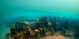 Van Gölündeki Mikrobiyalitler Koruma Altına Alınıyor