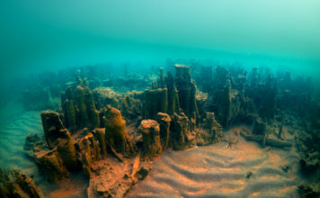 Van Gölündeki Mikrobiyalitler Koruma Altına Alınıyor