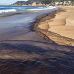 Mavi Bayraklı Kleopatra Plajı’na Petrol Sızıntısı