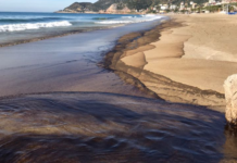 Mavi Bayraklı Kleopatra Plajı’na Petrol Sızıntısı