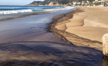 Mavi Bayraklı Kleopatra Plajı’na Petrol Sızıntısı