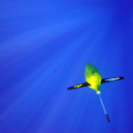 Antarktika’da Buzullar Sualtı Robotları ile İncelenecek