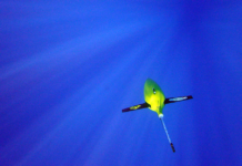 Antarktika’da Buzullar Sualtı Robotları ile İncelenecek