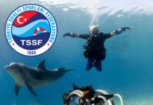 Engelli Dalıcı Talimatı Yayımlanmıştır