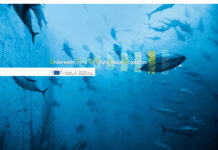 Sualtı Kameralarında Devrim Niteliğinde Gelişme