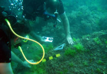 Sinop’taki batık ve su altı arkeoljik zenginliği dünyaya tanıtılacak