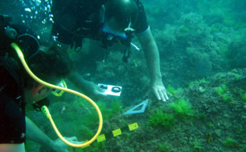 Sinop’taki batık ve su altı arkeoljik zenginliği dünyaya tanıtılacak
