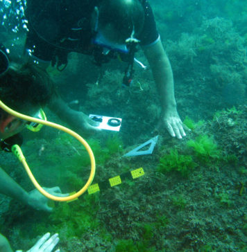 Sinop’taki batık ve su altı arkeoljik zenginliği dünyaya tanıtılacak