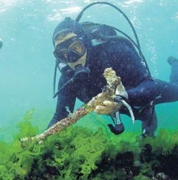 Batık Vordonisi Adasında Sualtı Arkeolojik Araştırması Yapılabilir