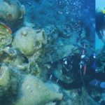 TSSF Sualtı Kültür Mirasının Korunması Eğitimi