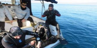 Burhaniye ve Gömeç’te dalış turizmi için çalışmalar başladı