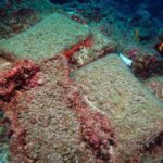 Antalya’da 3600 Yıllık Batık