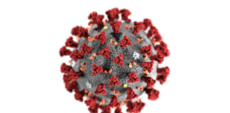 Dalıcılar İçin Koronaya Karşı (COVID-19) Alınabilecek Önlemler