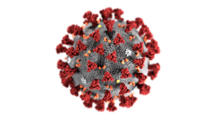 Dalıcılar İçin Koronaya Karşı (COVID-19) Alınabilecek Önlemler