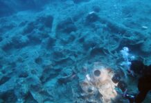 Antalya’da Osmanlı Savaş Gemisi Batığı Bulundu