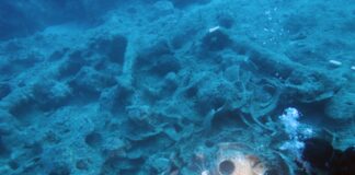 Antalya’da Osmanlı Savaş Gemisi Batığı Bulundu